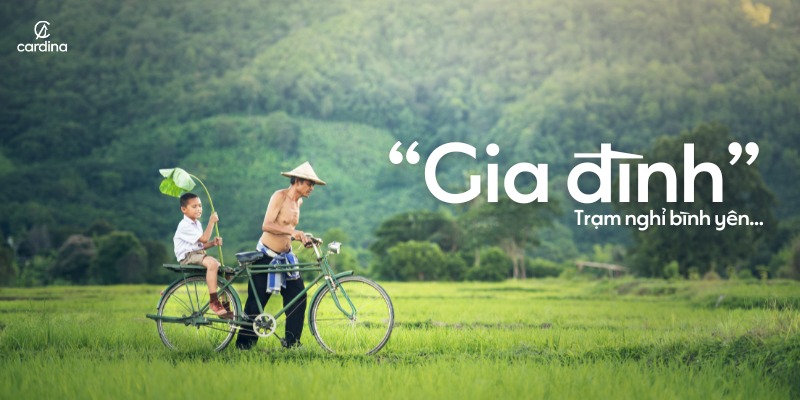 Những gốc cây bị lãng quên: Thông Điệp Xúc Động Từ NOHU 2026
